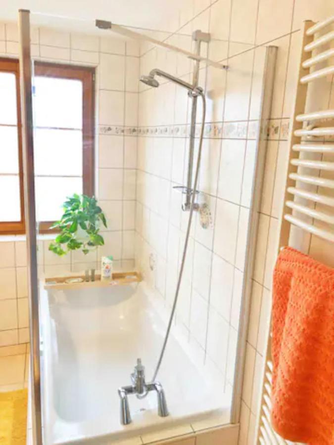 Charming Apartment Basel Border - 3 Bedrooms Hegenheim Esterno foto